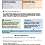 Bipolar Disorder Info Sheet Worksheet Therapist Aid