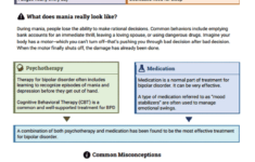 Bipolar Disorder Info Sheet Worksheet Therapist Aid