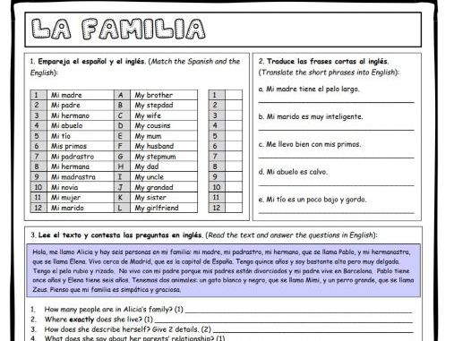 GCSE Spanish Family And Relationships Worksheets Teaching Resources