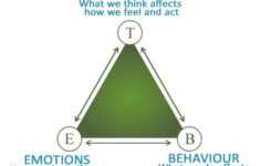 Pin On Therapeutic Tools