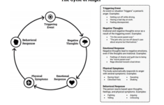 The Cycle Of Anger Worksheet Therapist Aid
